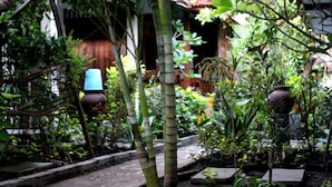 A lush garden with various plants and a pathway leading to a building with a traditional design. - Gili Smile Bungalows (Gili Trawangan)