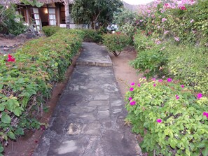 Terrain de lâhĂ©bergement