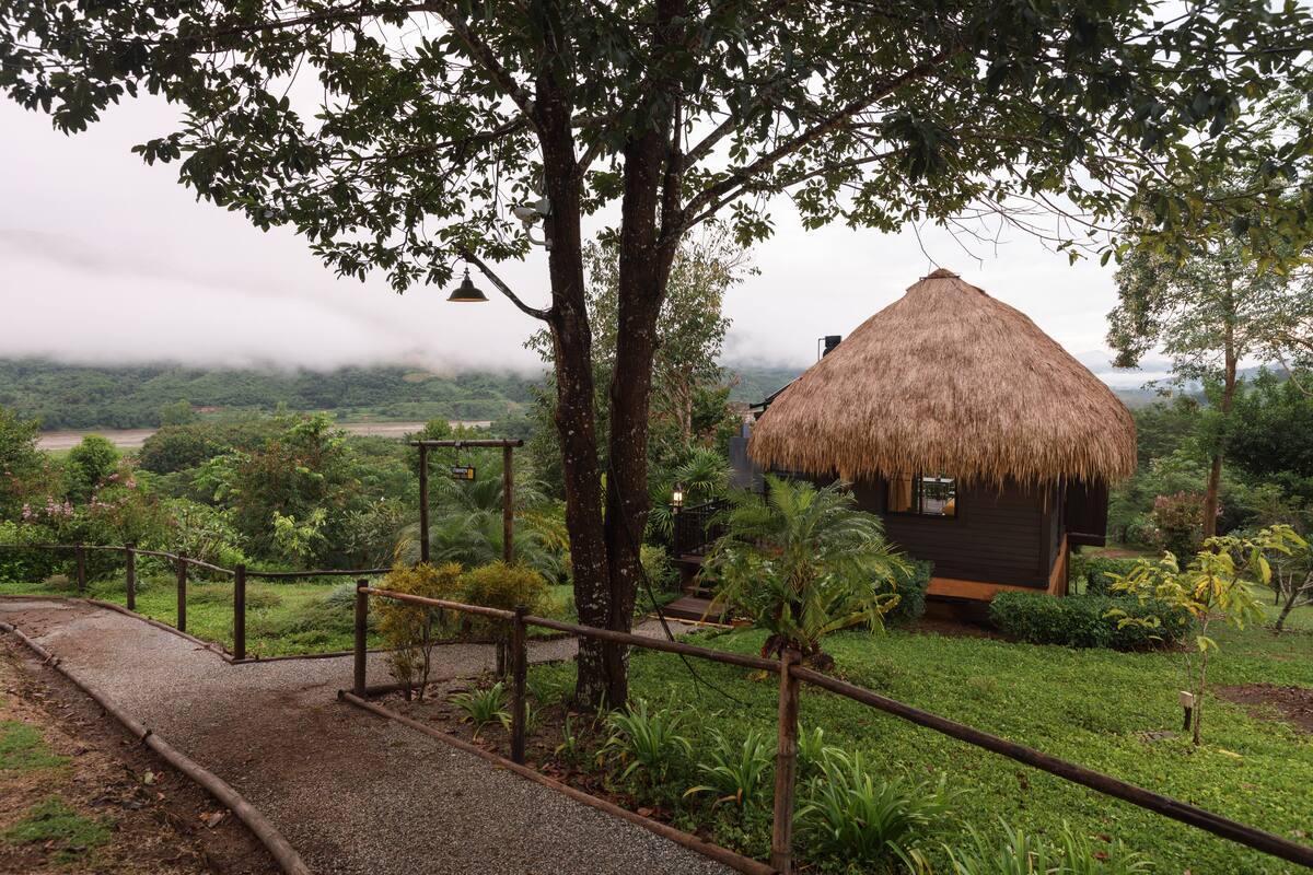 A thatched-roof house surrounded by lush greenery, a gravel path, and a wooden fence.