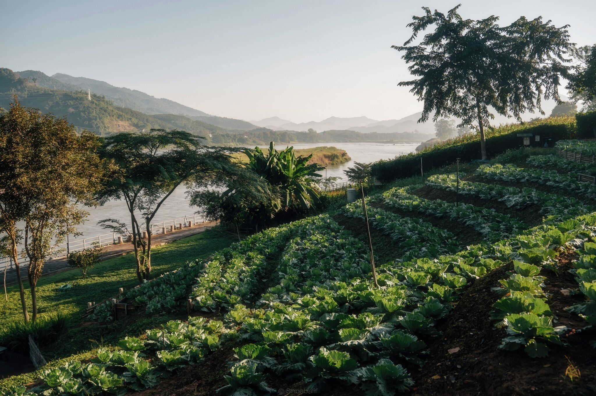 บริเวณภายนอก