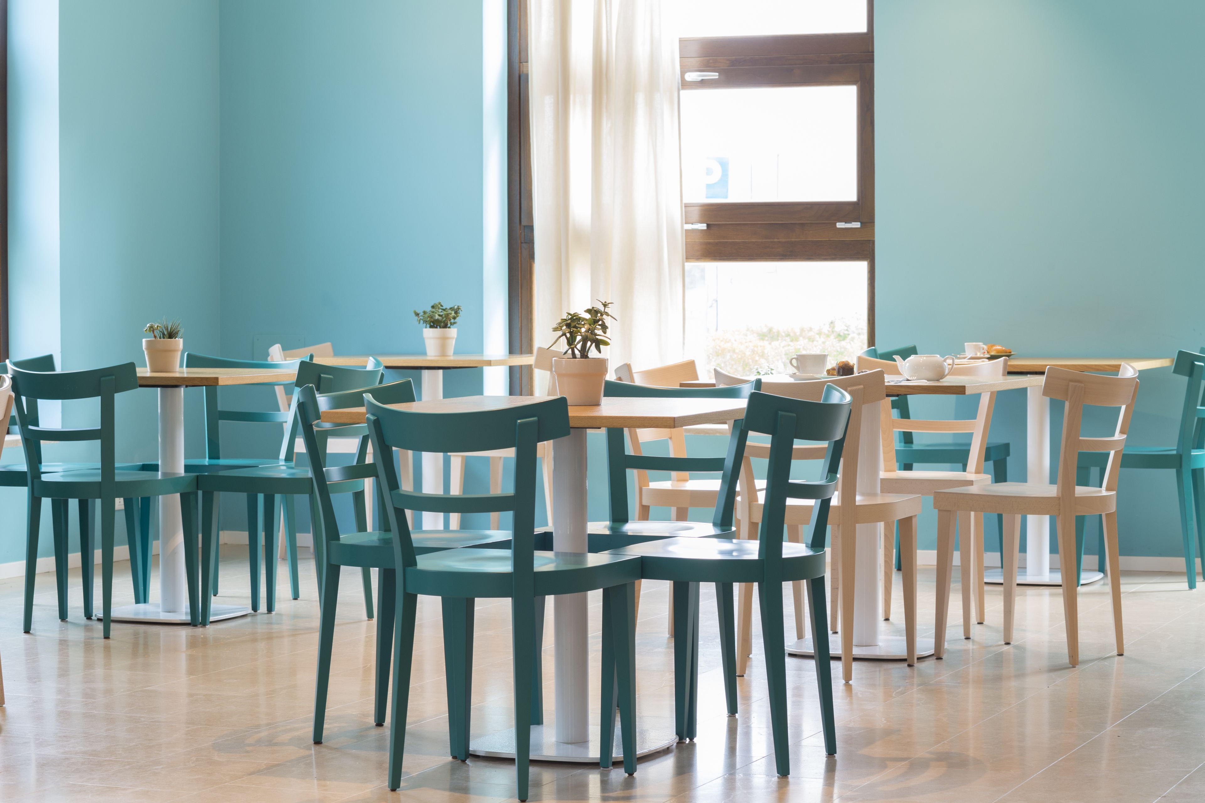 A dining area with teal chairs and white tables, featuring potted plants and natural light.