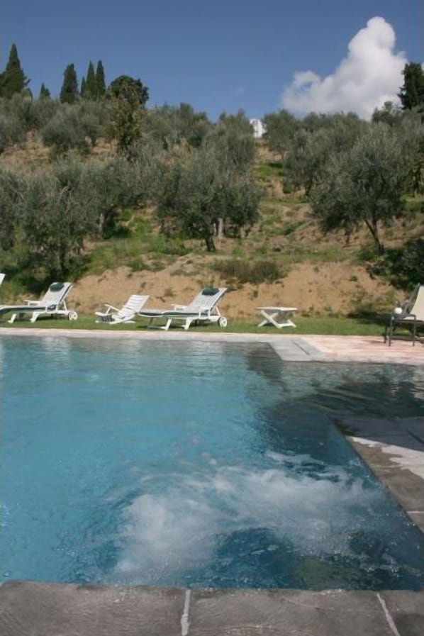 A swimming pool with lounge chairs, surrounded by olive trees and a hillside.