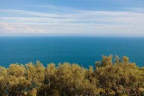 A coastal landscape with trees in the foreground and the sea in the background.