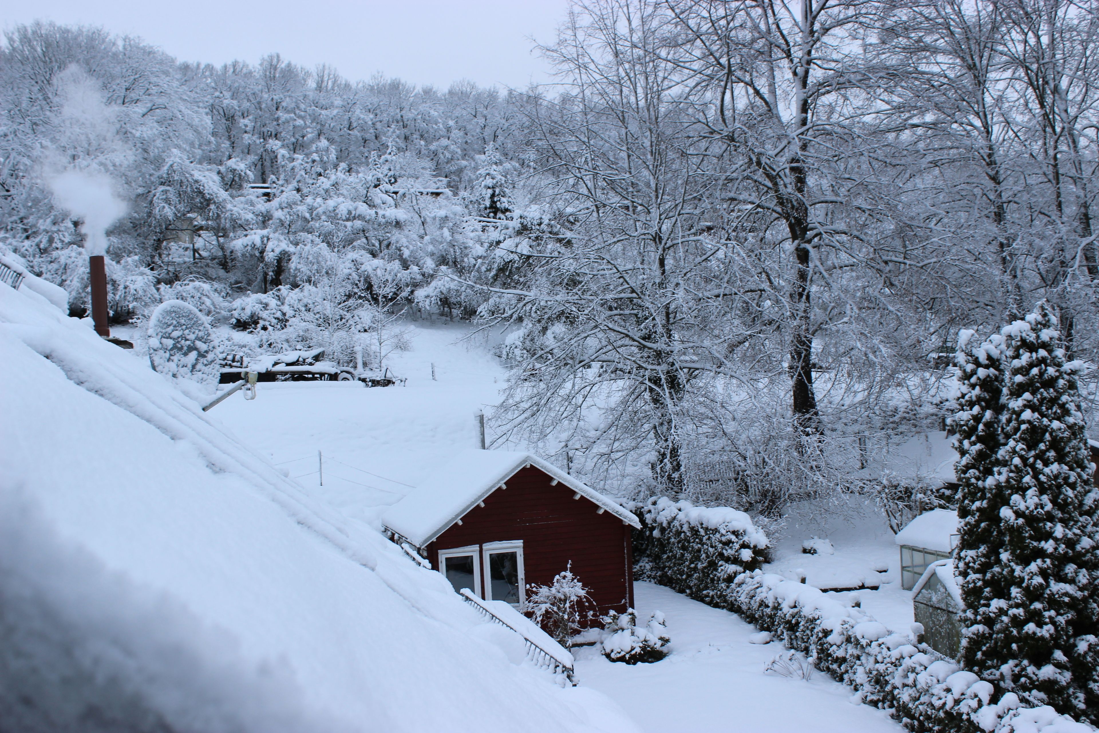 basic twin room, 1 single bed, non smoking | view from room
