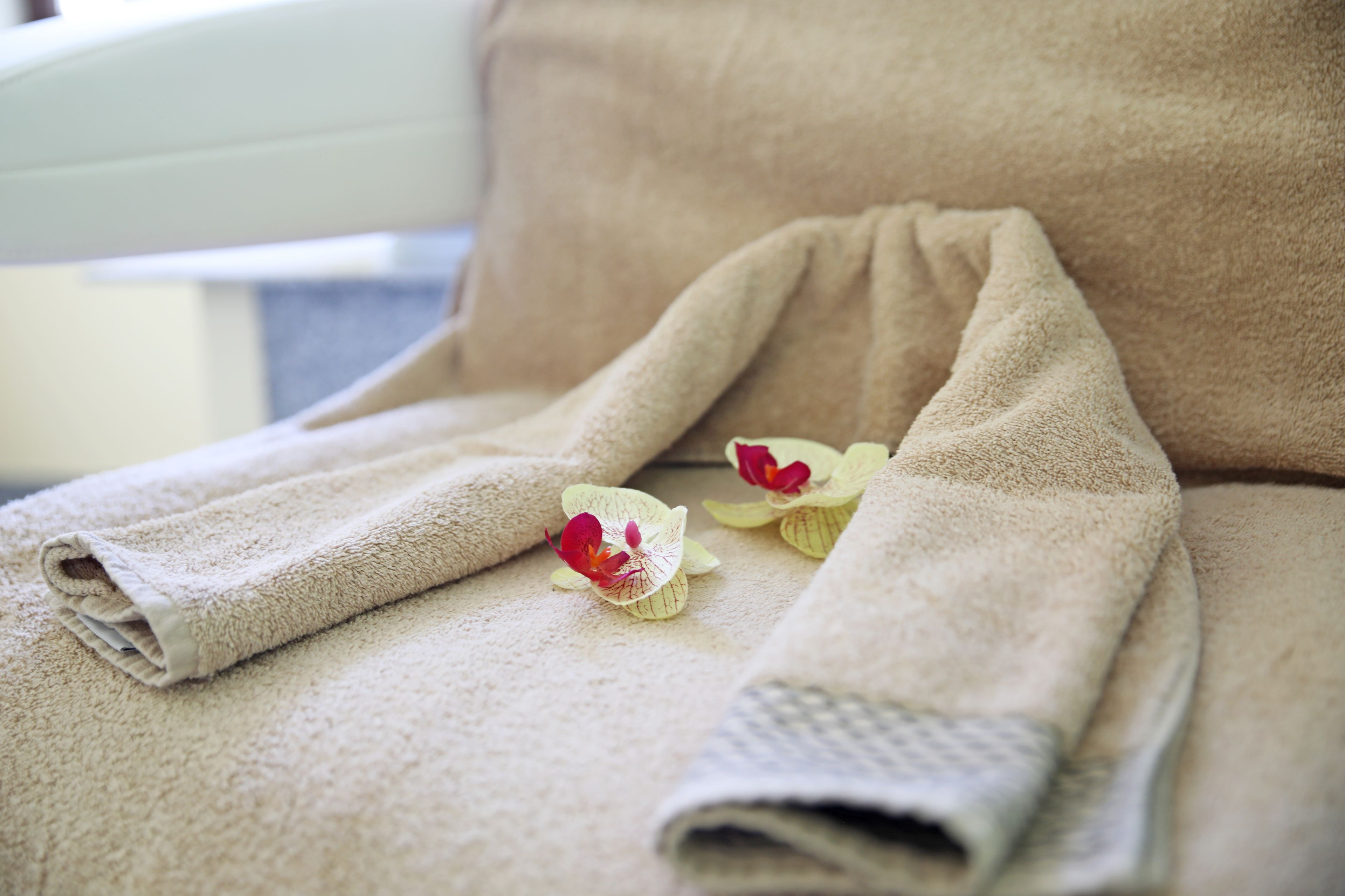 body treatments, body wraps, facials, 3 treatment rooms