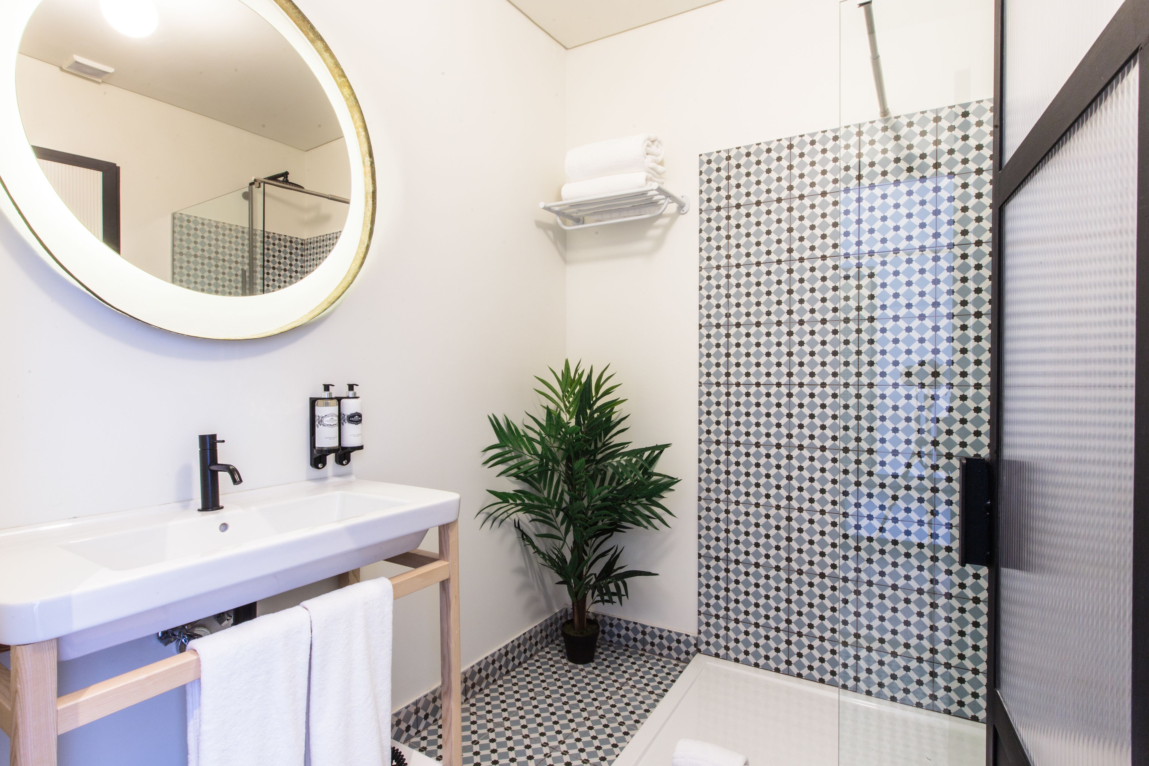 Un baño con lavamanos blanco, un espejo, una planta en maceta y una zona de ducha.