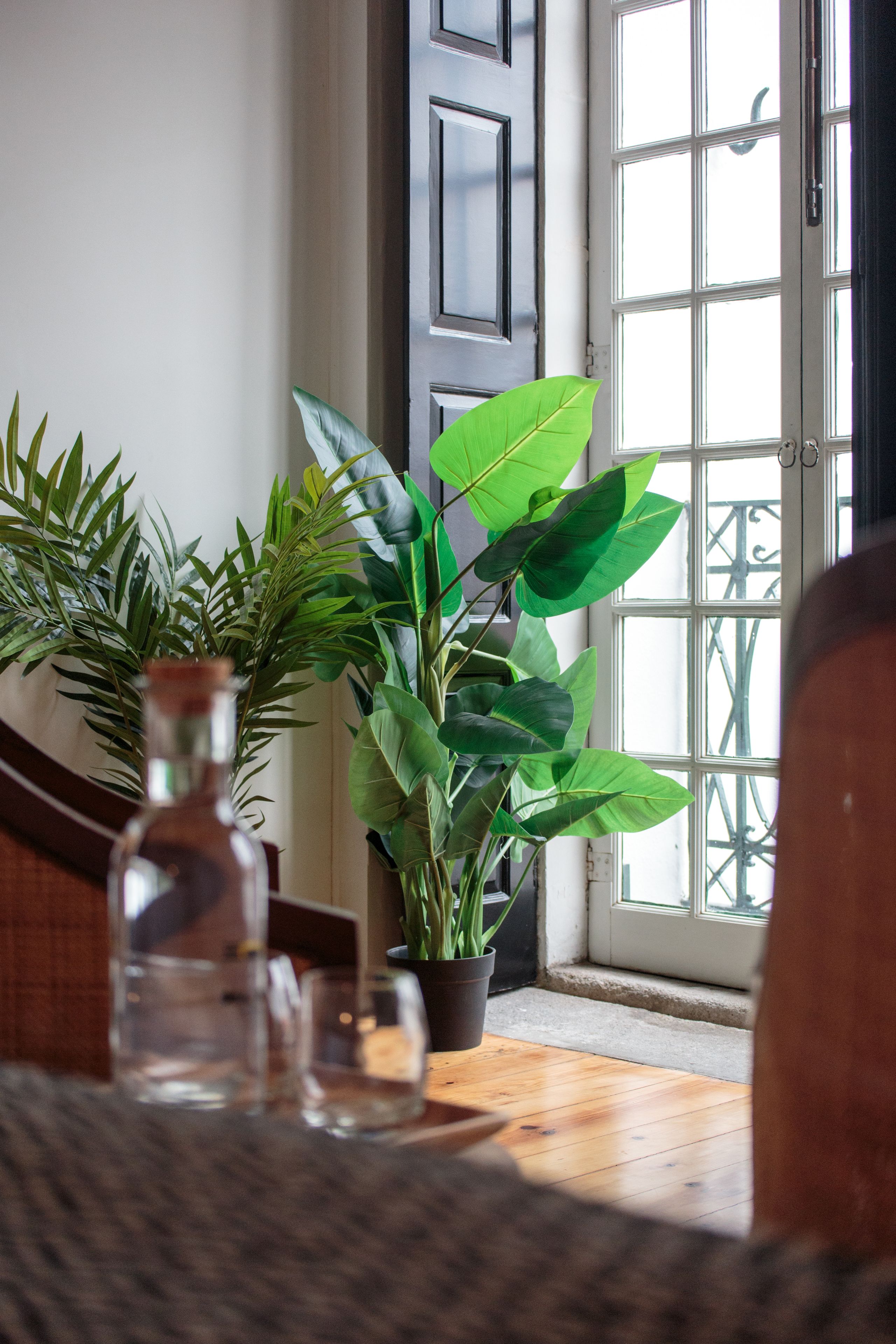 Une pièce avec un plancher en bois, une plante en pot, une bouteille en verre transparent et une porte avec une fenêtre.