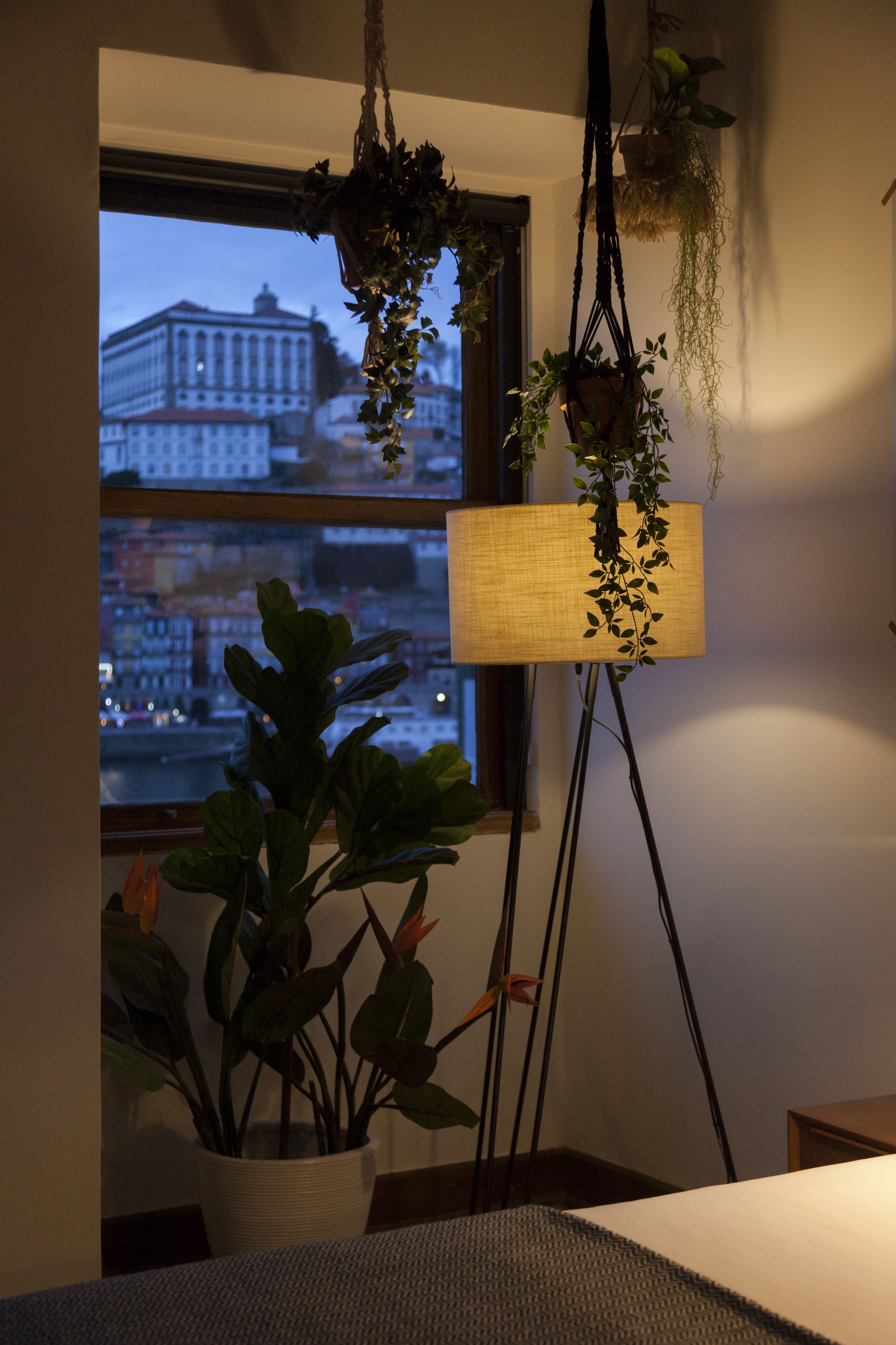 A room with a large window, a hanging plant, and a floor lamp.