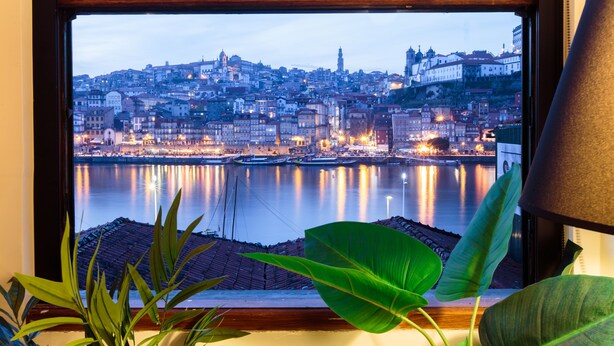 Vista de un paisaje urbano a través de una ventana, con una planta en primer plano.