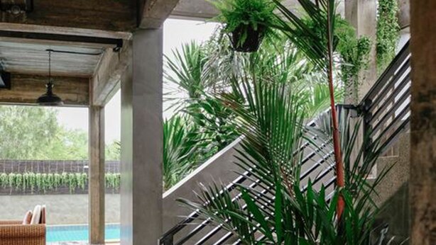 Una escalera con estructura de hormigón, rodeada de diversas plantas y una lámpara colgante.
