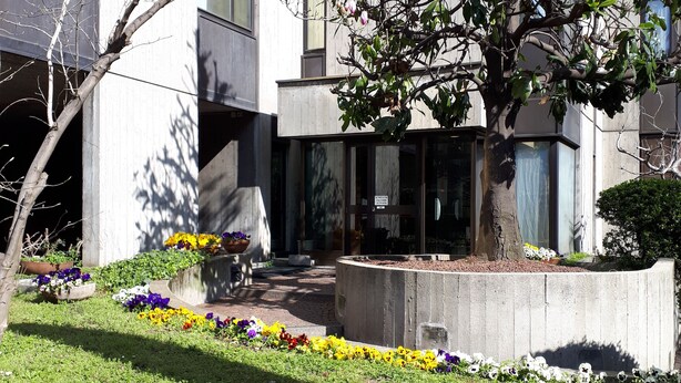 A modern building with a courtyard featuring a tree, flower beds, and a concrete planter. - Residence Nizza - Torino (Turin)
