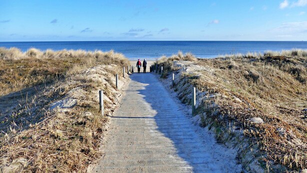 A coastal path leading to the sea with a clear sky.