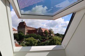 A skylight window overlooking a historic building with a red roof and a tower, surrounded by greenery.