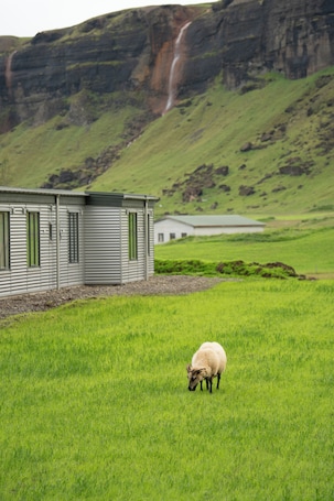 Property grounds. Adventure Hotel Geirland
