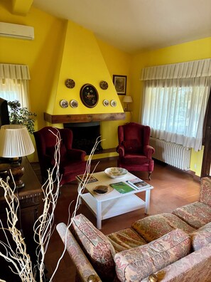 Fernseher, Kamin, Bücher