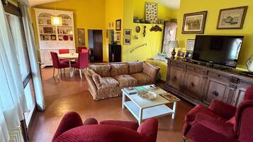 Fernseher, Kamin, Bücher