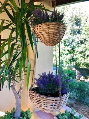 Jardines del alojamiento