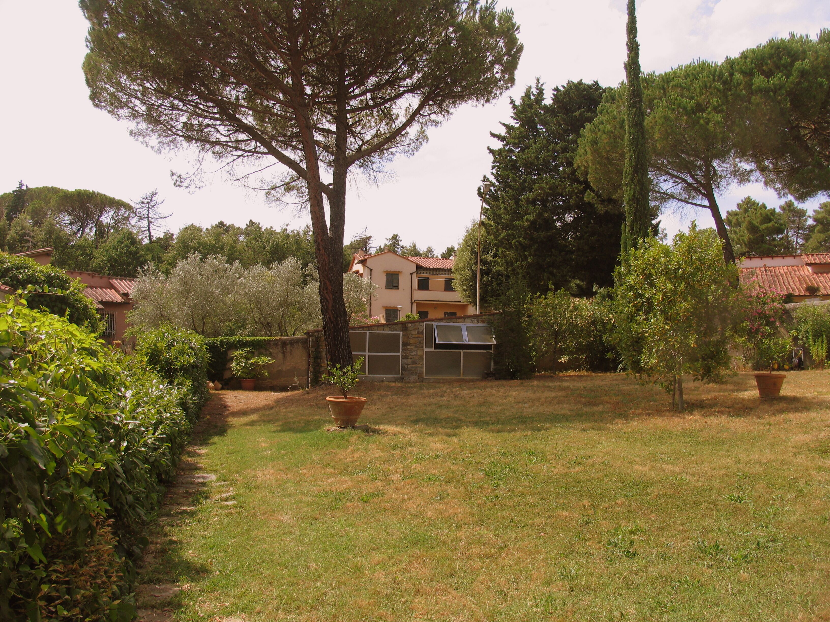 A residential property with a well-maintained lawn, a large tree, and a house with a tiled roof.