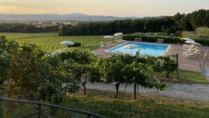 A pool area with lounge chairs and umbrellas, surrounded by greenery and a vineyard. - Agriturismo Poggio alle Vigne (Torgiano)