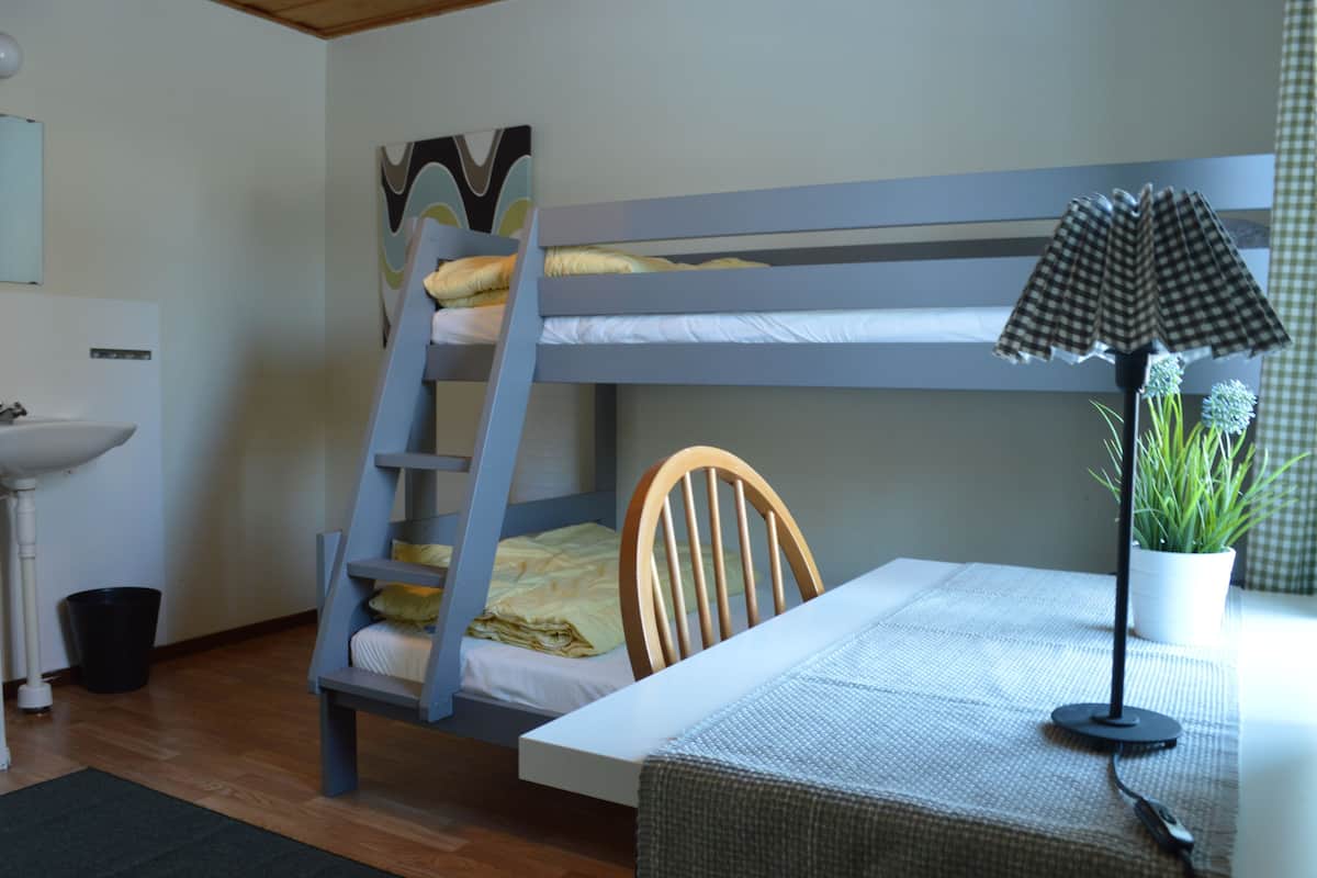 Un lit superposé avec une échelle, un bureau avec une lampe, une chaise, un lavabo et une plante en pot.