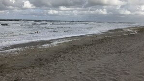 Ein Strand mit Wellen und einem bewölkten Himmel.