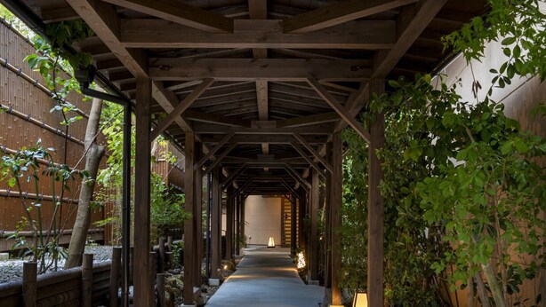 A covered walkway with wooden beams and stone steps, flanked by bamboo and trees, leading to a building entrance. - Takachiho Hanareno-yado Kamigakure (Takachiho)