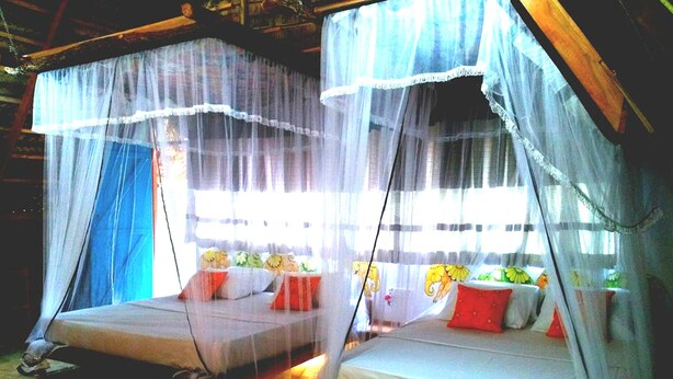 A room with two beds covered by mosquito netting, wooden flooring, and a window with curtains. - Habarana Ambasewana Resort (Habarana)