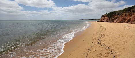 在海灘附近、沙灘巾