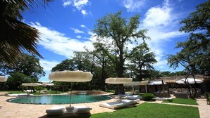 Zona de piscina con sillas de descanso y sombrillas, rodeada de árboles y un cielo despejado.