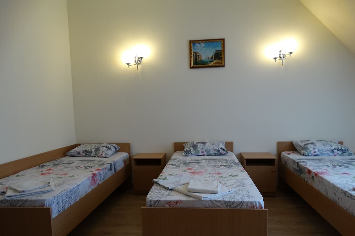 Habitación triple estándar (13,14) | Caja fuerte, tabla de planchar con plancha, wifi gratis