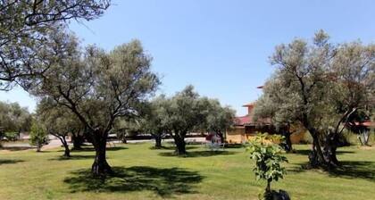 Hotel Rural Hojaranzos