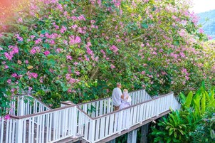 A wooden staircase with white railings leading up to a balcony.