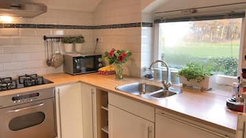 Fridge, stovetop, coffee/tea maker