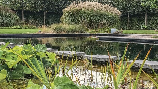 A tranquil pond with stepping stones, surrounded by lush greenery and a variety of plants. - Lovely home in Baarle-Nassau (Baarle-Nassau)