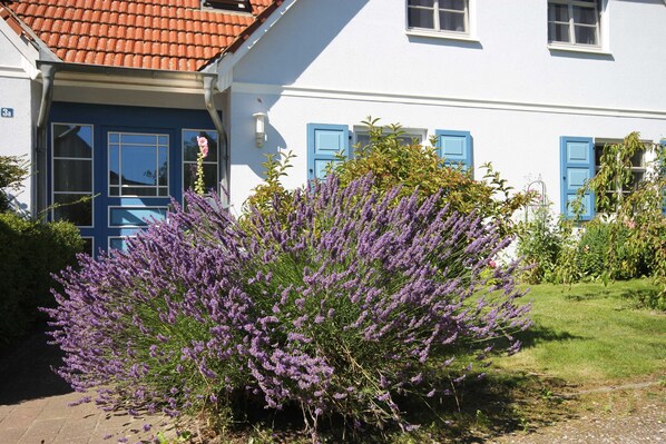 Detalle exterior