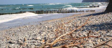 A rocky beach with driftwood and a wooden breakwater in the background.