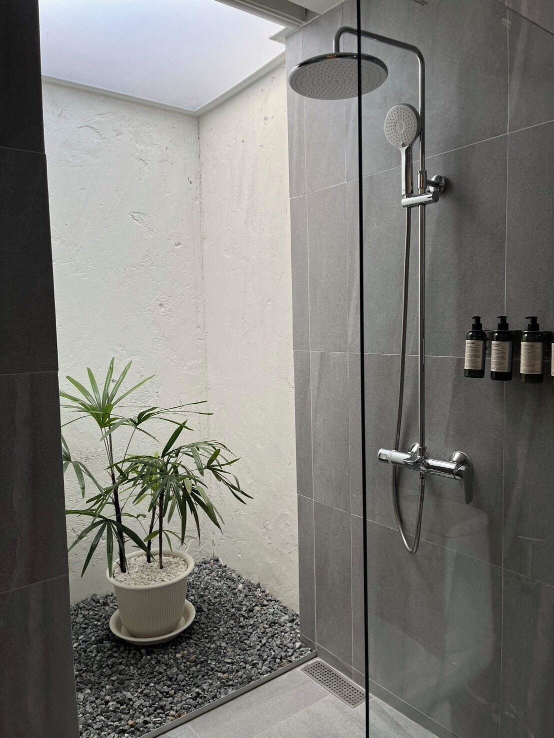 Un espace douche moderne doté d’une pomme de douche à pluie, d’un pommeau de douche à main et d’un flexible de douche à main. On y trouve une plante en pot aux feuilles de bambou, posée sur un lit de petits galets.