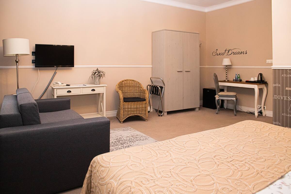 A hotel room with a bed, a sofa, a desk, a chair, a wardrobe, and a television.