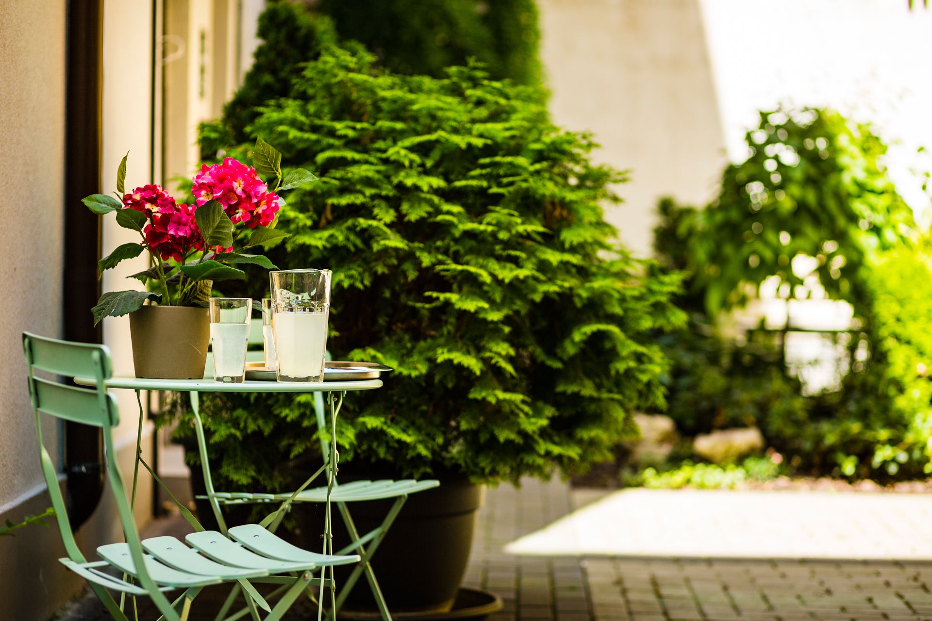 Photo - 5 Vintage Guest House