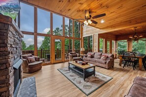 TV, fireplace, video games, DVD player