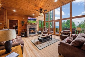 TV, fireplace, video games, DVD player