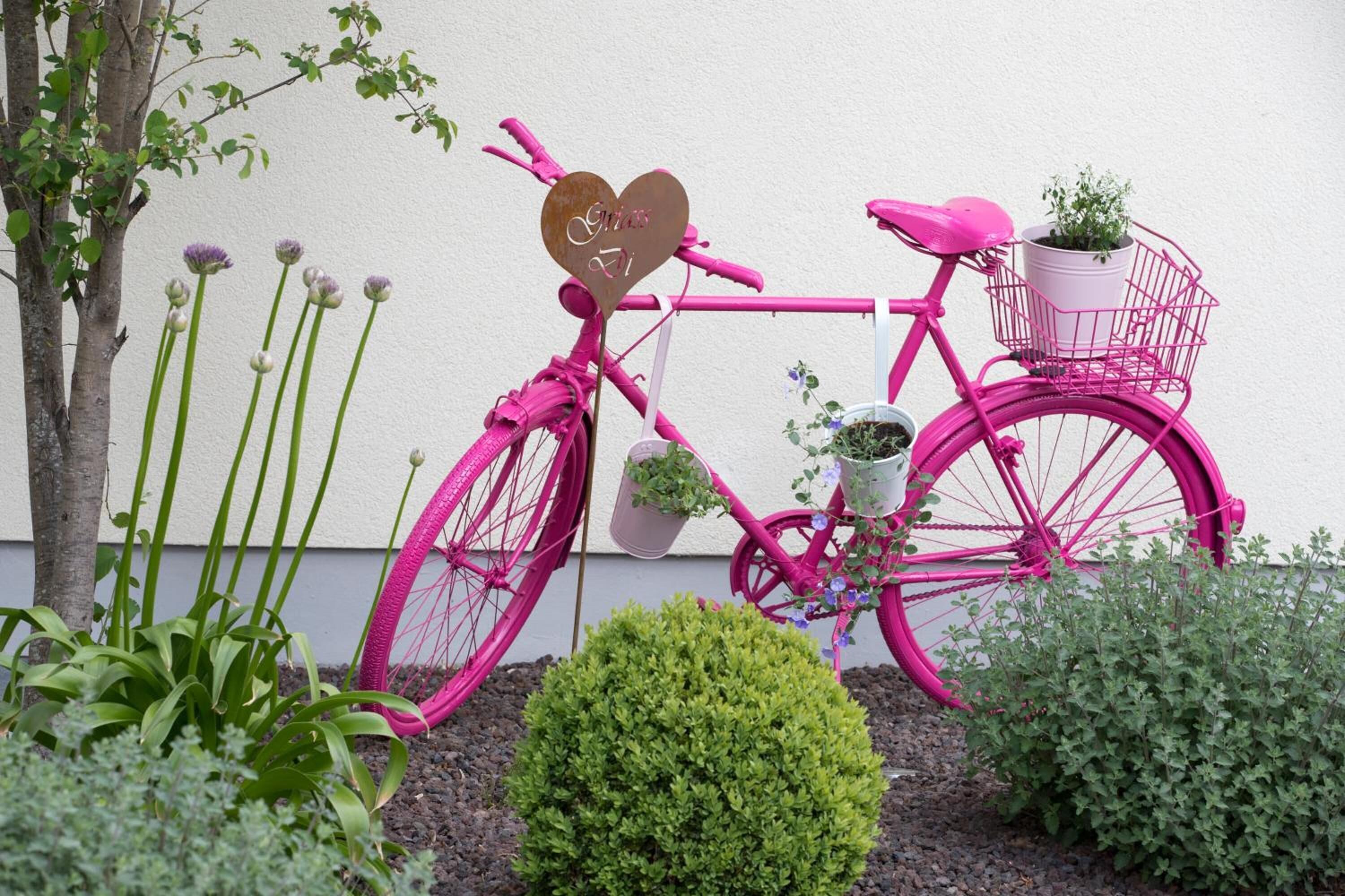 Foto - Hotel Bauer garni