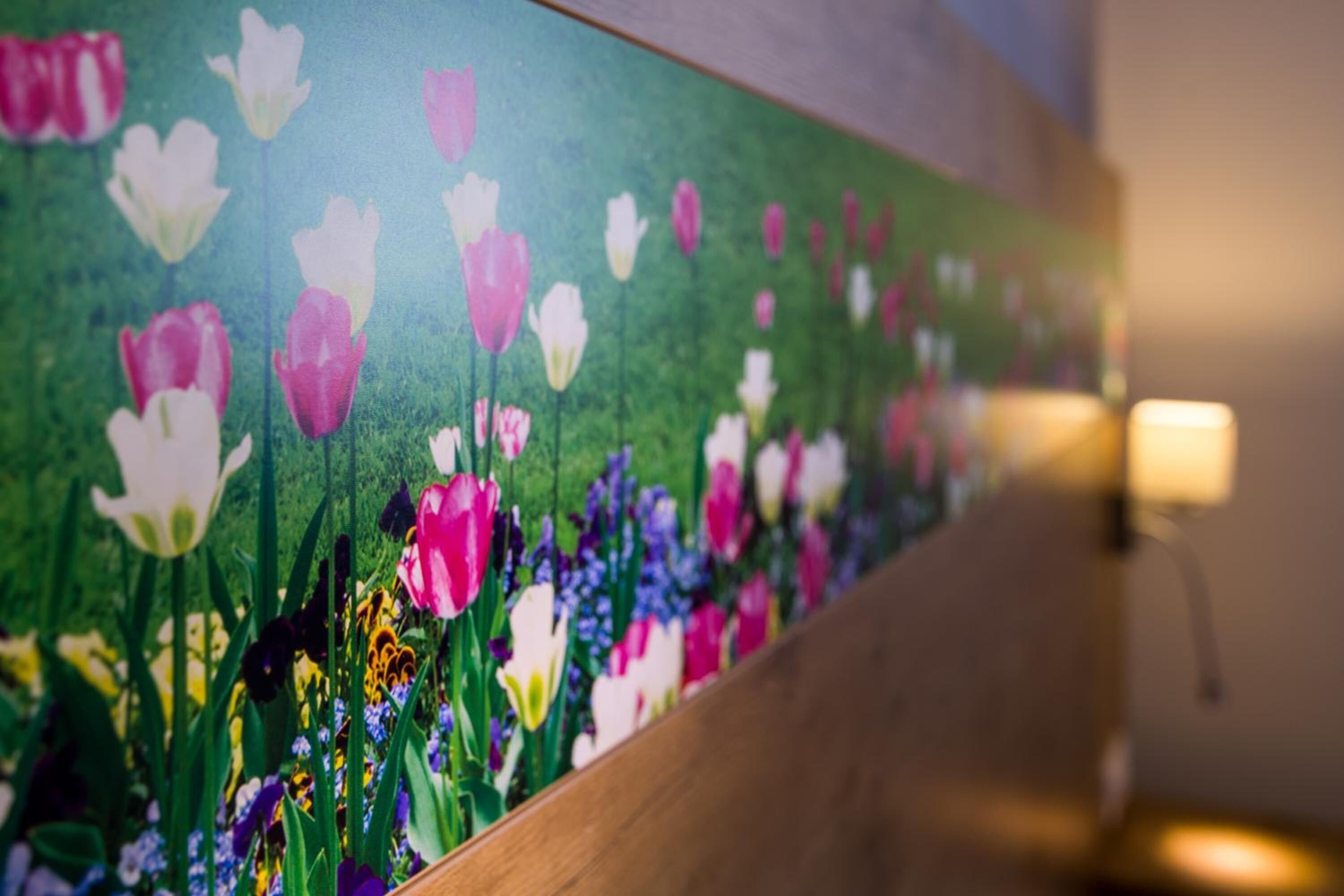 Foto - Hotel Bauer garni