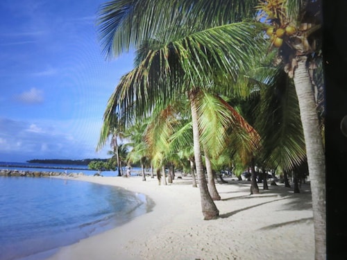 Beach Ste Anne direct access, 100 m2 sea view, swimming pool, wifi, garden, parking