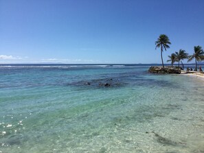 على الشاطئ، كراسي للتشمس