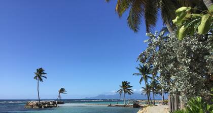 STE ANNE ACCESO DIRECTO PLAYA GRAND pie, aparte JARDIN TERRAZA de tenis