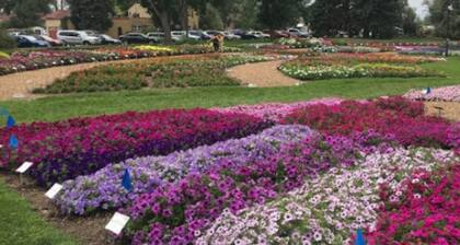 Grand and Spacious Historic ... Kävele Vanhankaupungin Fort Collinsiin ja CSU: n kampukselle!