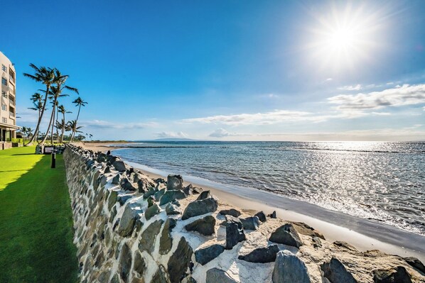 A beachfront hotel with a stone wall, palm trees, and a clear view of the ocean.