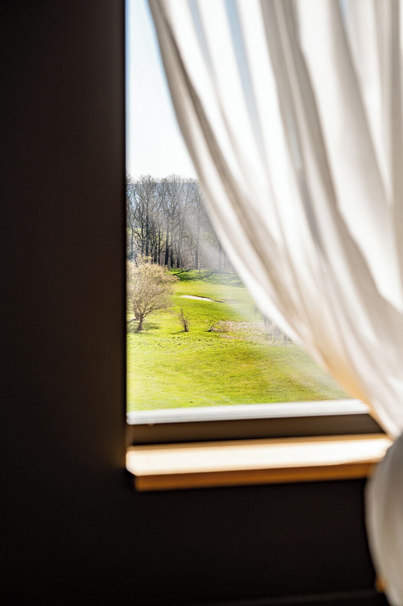 Una ventana con vista a un campo cubierto de césped y árboles.