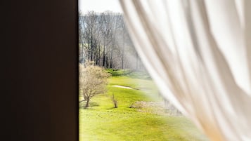 Une fenêtre donnant sur un champ verdoyant et des arbres.